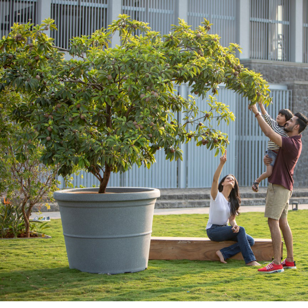 Exotic Planters